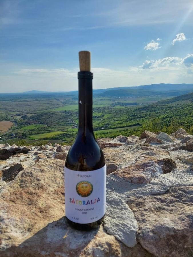 Apartmán Via Tokaj Vendeghaz Sátoraljaújhely Exteriér fotografie