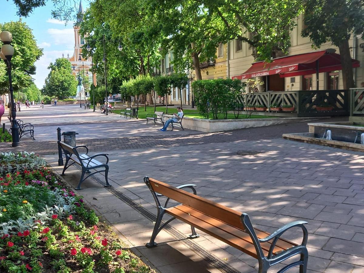 Apartmán Via Tokaj Vendeghaz Sátoraljaújhely Exteriér fotografie
