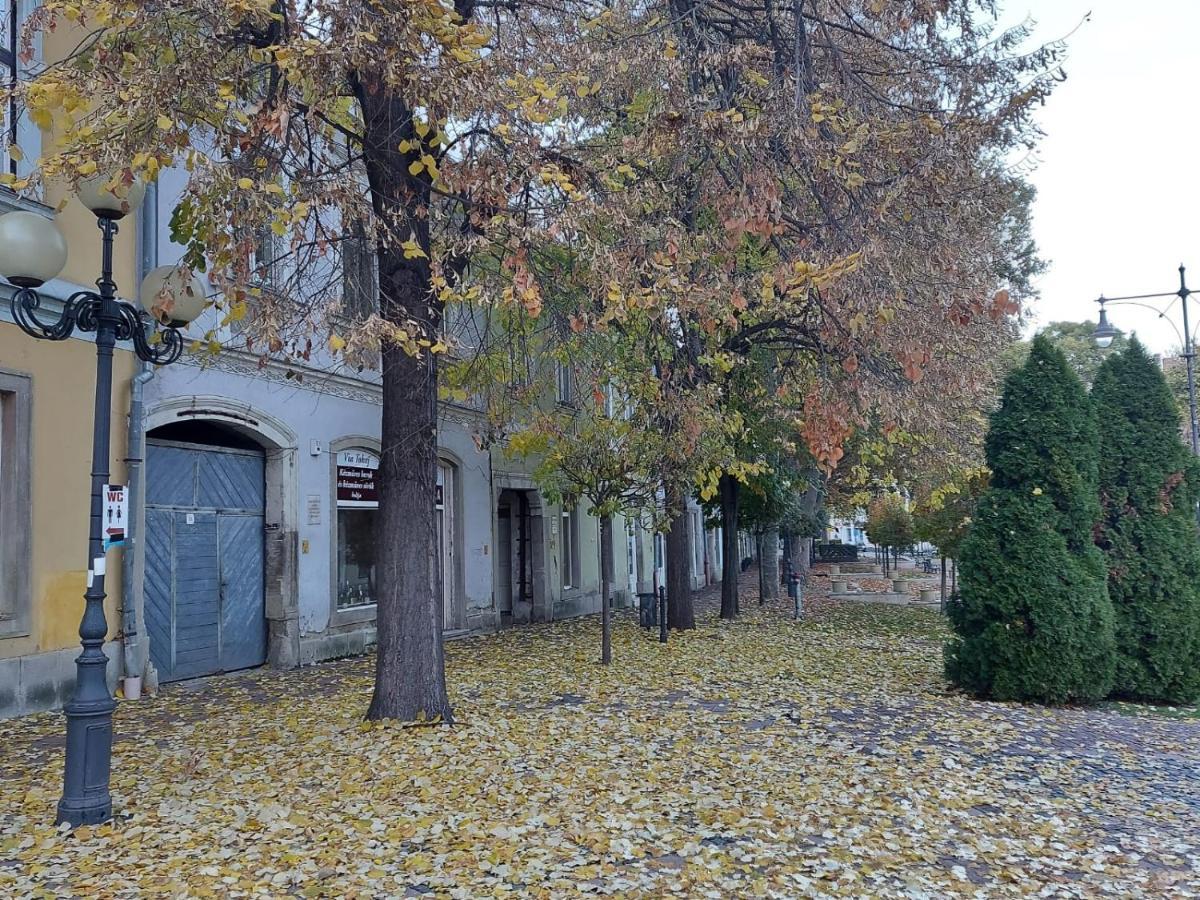 Apartmán Via Tokaj Vendeghaz Sátoraljaújhely Exteriér fotografie