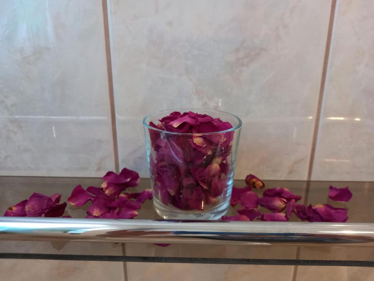 Apartmán Via Tokaj Vendeghaz Sátoraljaújhely Exteriér fotografie
