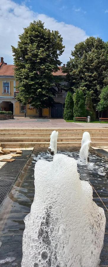 Apartmán Via Tokaj Vendeghaz Sátoraljaújhely Exteriér fotografie